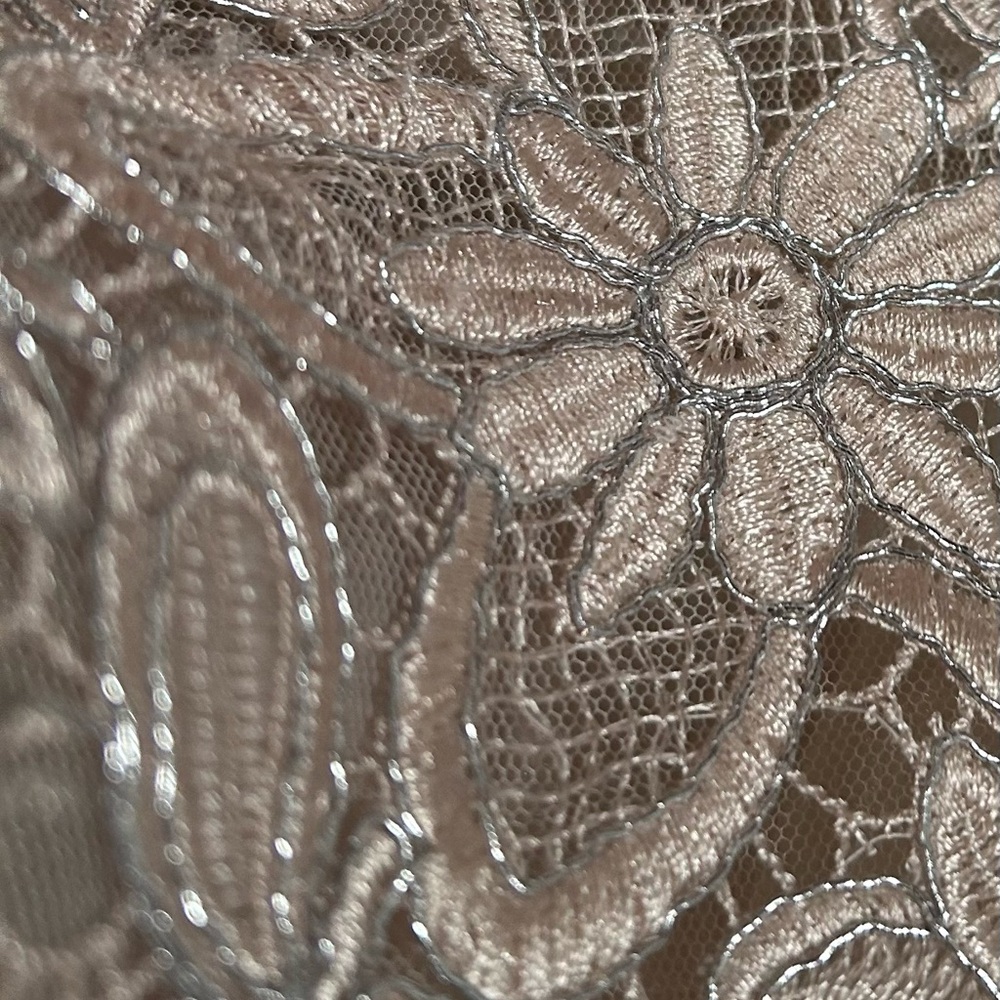 Teri Jon Lace Dress - Picture 3 of 3